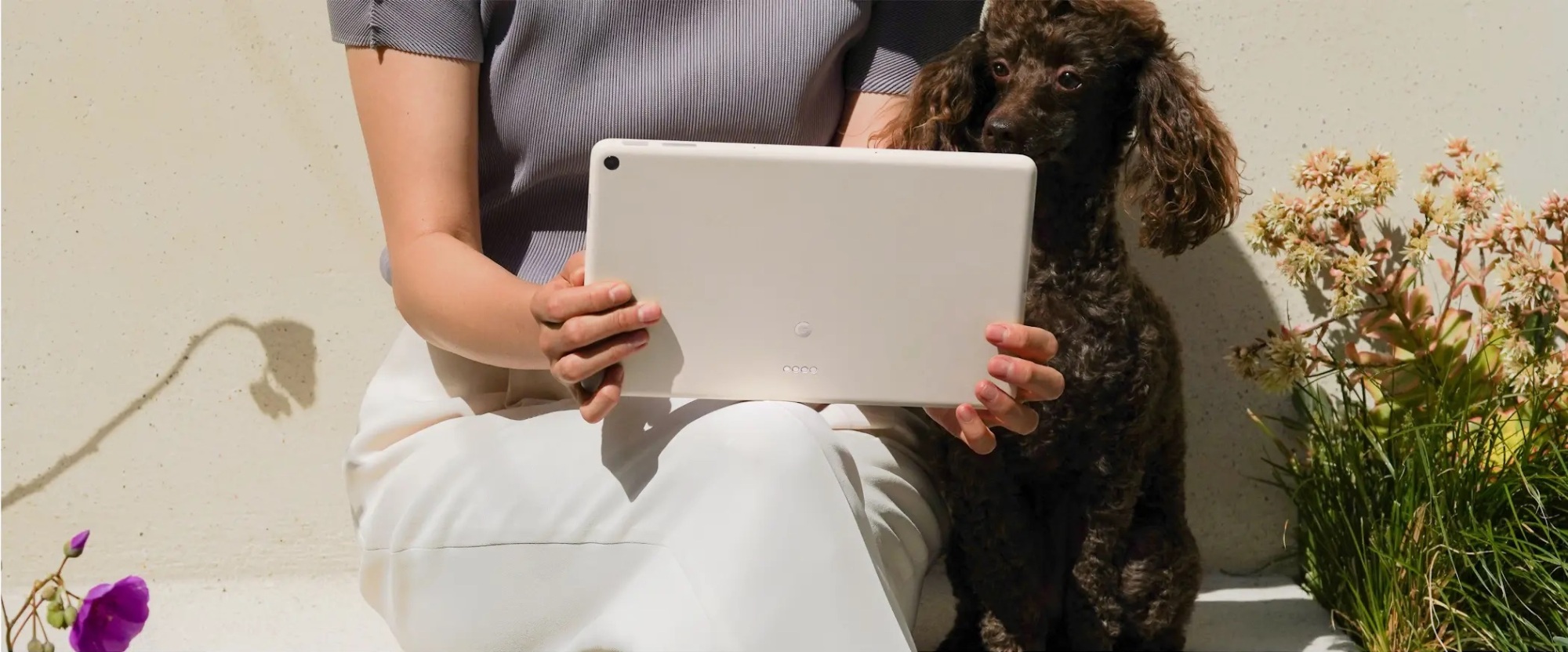 Una persona sentada usando la tableta Pixel con un perro mirando la pantalla